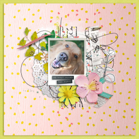 tnp_HappyHeart_Tracy.jpg