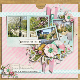 tnp_iNSD2021_PageDraft2.jpg