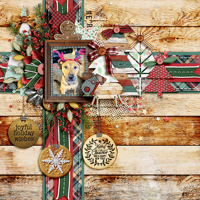 tnp-ABUSHCHRISTMAS-TammyLO1
