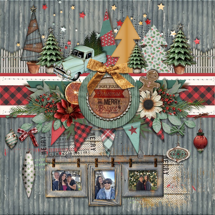 tnp-ABushChristmas-Trish01