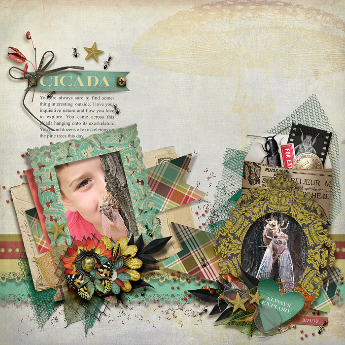 tnp-ATOUCHOFVINTAGE-Charlene