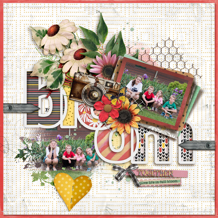tnp-BLOOM_GROW-cheryl1