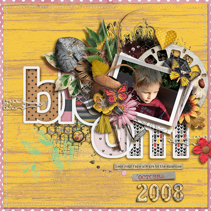 tnp-BLOOM_GROW-pd1