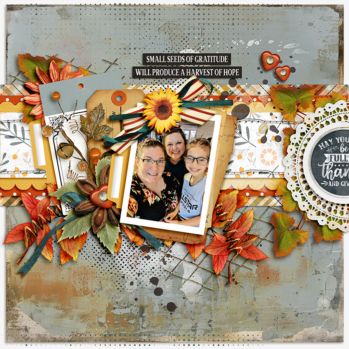 tnp-HARVESTTABLEv2-TammyLO1
