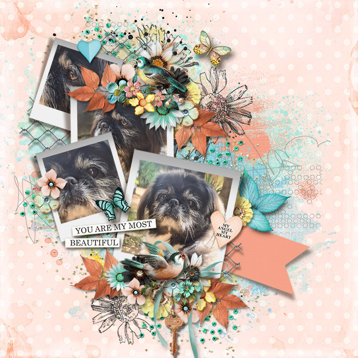 tnp-HELLOSPRING-JenniR