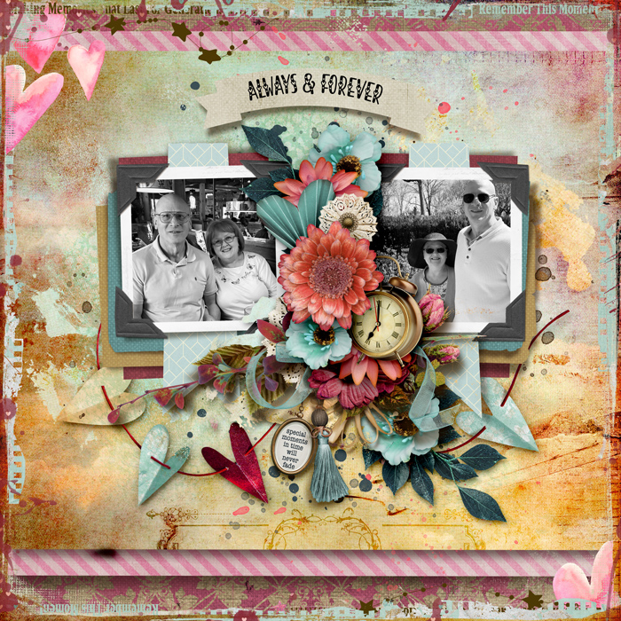 tnp-MEMORYMAKER-Bundle-Evelyn-LO1