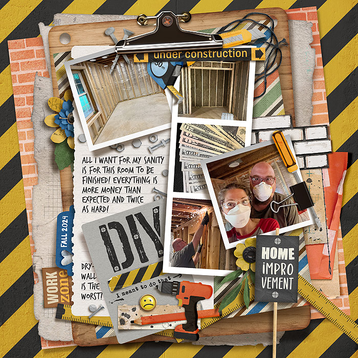 tnp-MEMORYORGANISER-bg_hhdiy_ez-swi