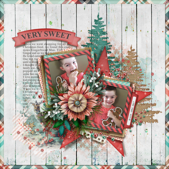 tnp-OHCHRISTMASTREEv2-EmS-LO4