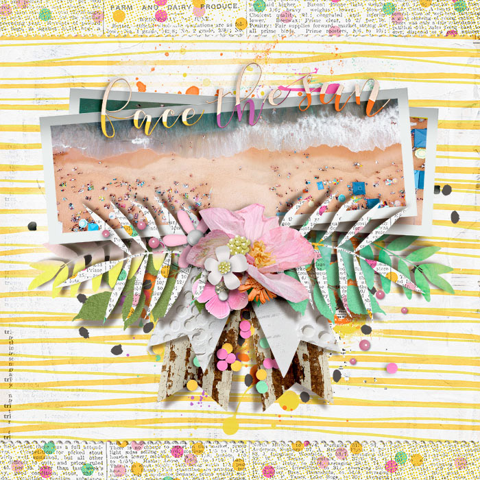 tnp-PANOPRETTY-PD1_TRACY