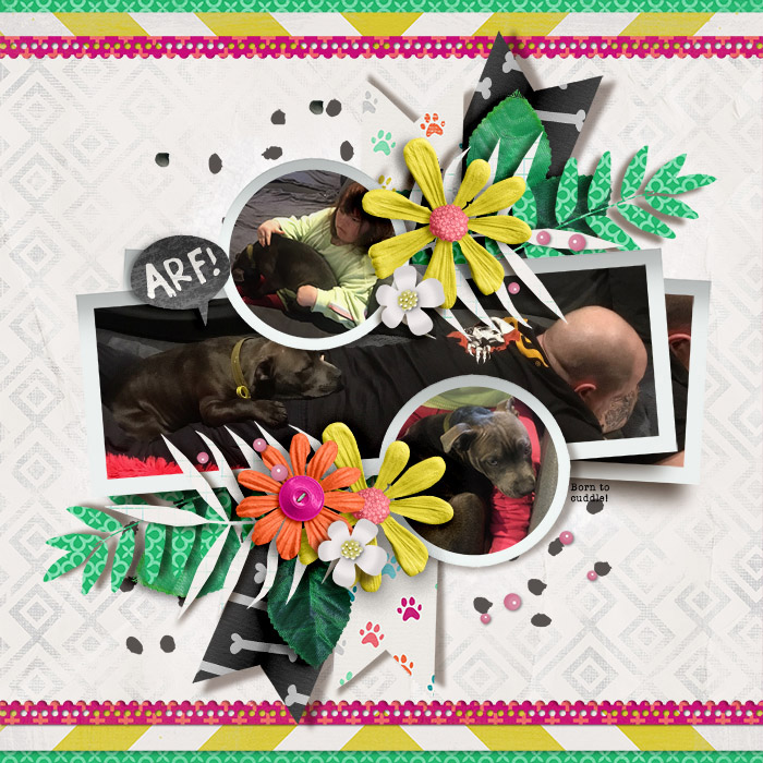 tnp-PANOPRETTY-PD3BM_CANWEKEEPIT_TRACY