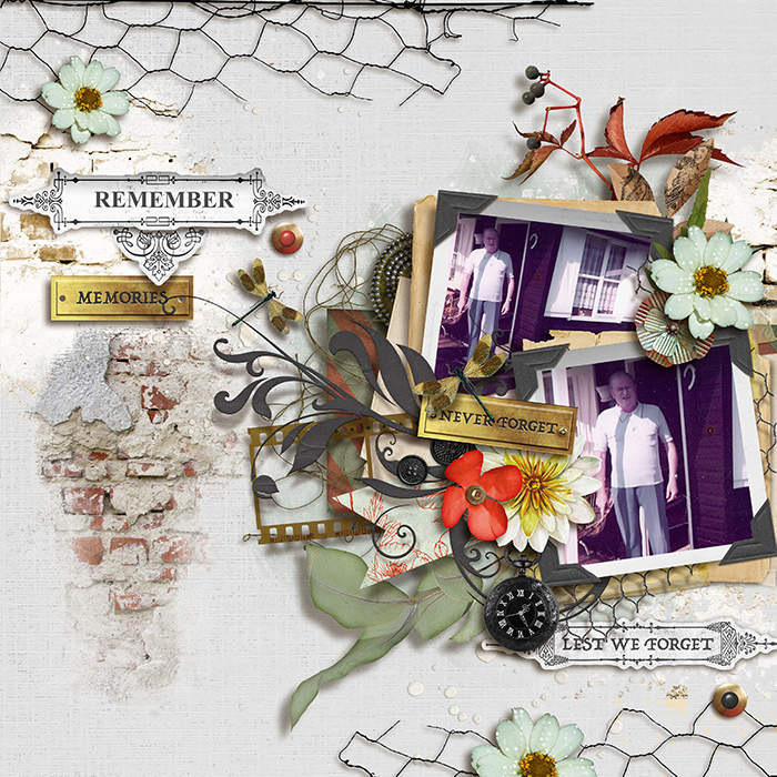 tnp-REMEMBERTHEM-pd1-Aud_LO1