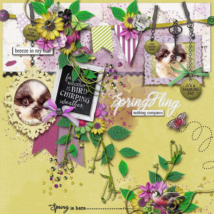 tnp-SPRINGFLING-JenniR
