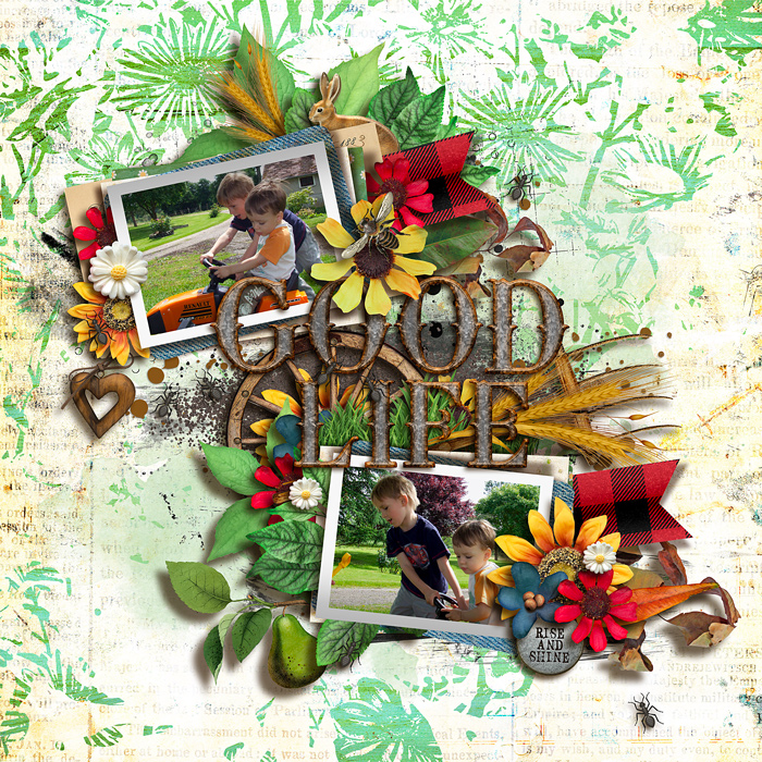tnp-THEGOODLIFE-pd1