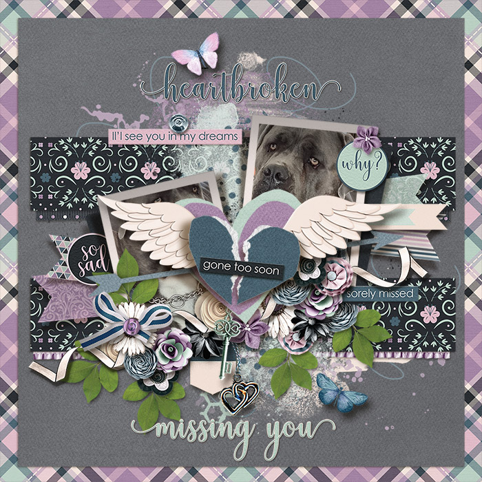 tnp-TWOSIDESOFLOVE-JenniR