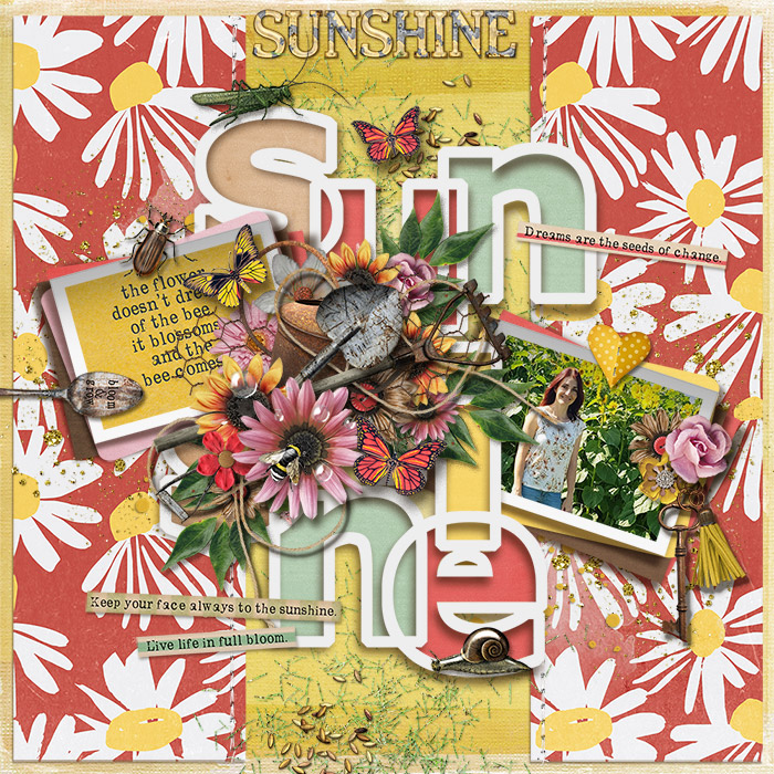 tnp-bloomandgrow-JenniR