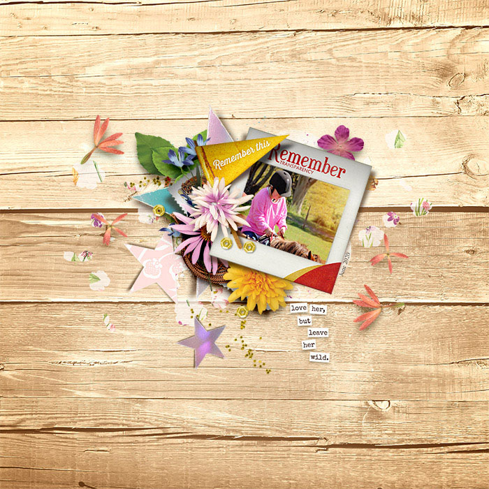 tnp-lgrieveson-scrapstackNo4-TRACY