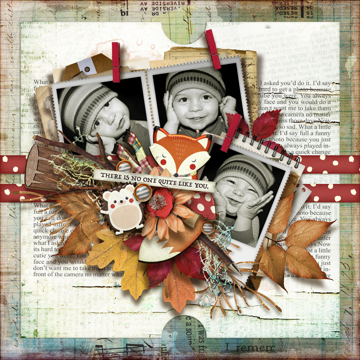 tnp_iNSD2023_PageDraft