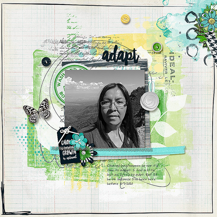 2020-11-10-adapt_sm