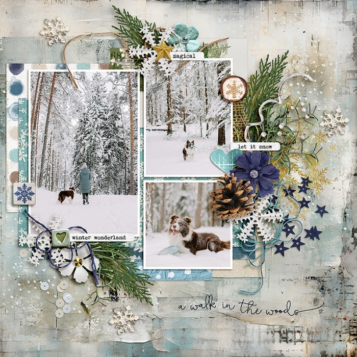 Winter Woods