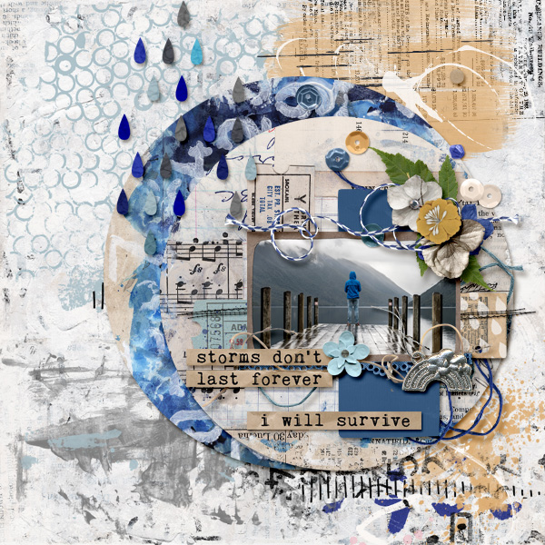 msy2023_iNSD_sketchch_ts_ain_weather