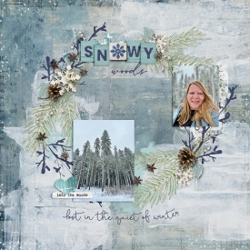 8-snowy-woods-0117ts.jpg