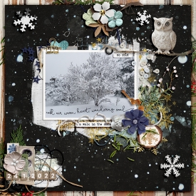 tstroud_Art_in_Nature_Winter_Woods.jpg
