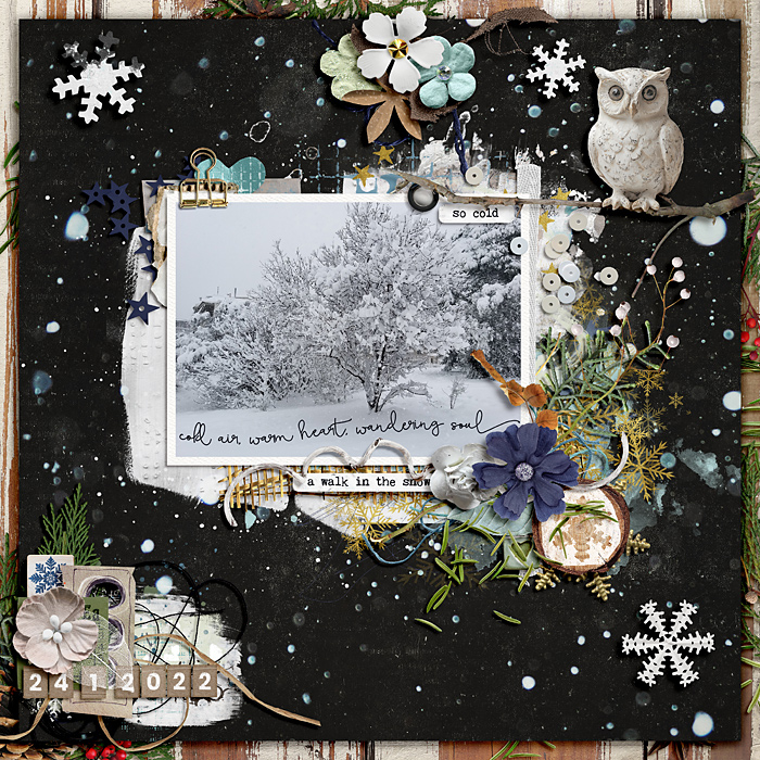 tstroud_Art_in_Nature_Winter_Woods