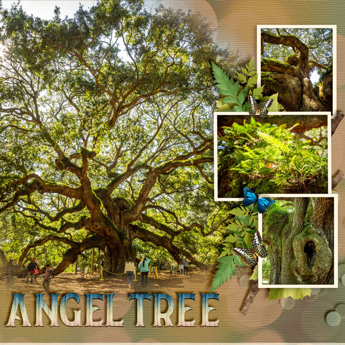 2020_11-Charleston_Angel-Tree