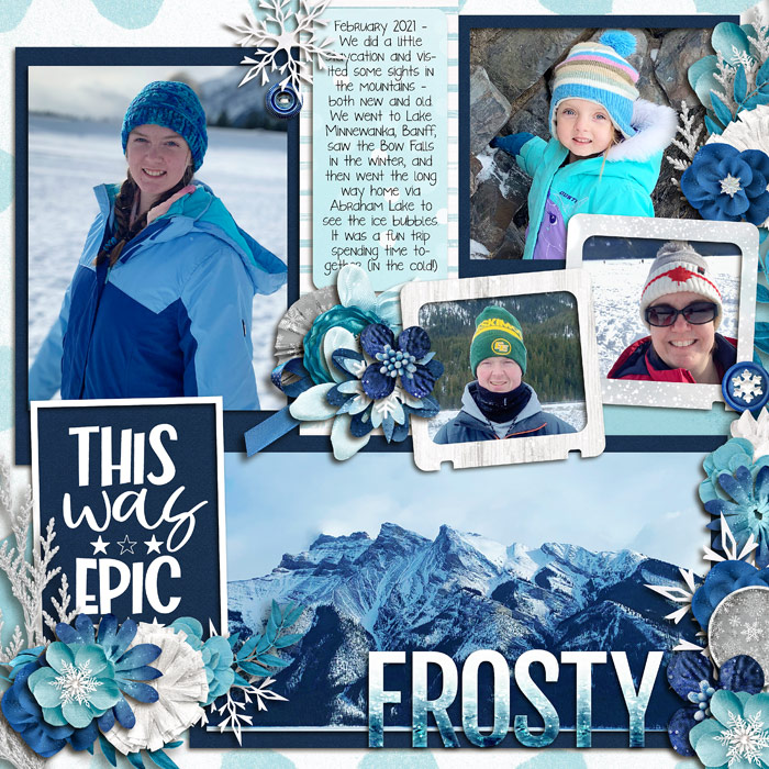 2021-02_Frosty