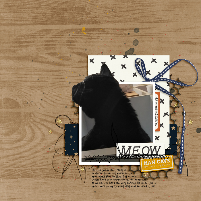 Aug22_SSD_Shadowbox_Extraction-Meow