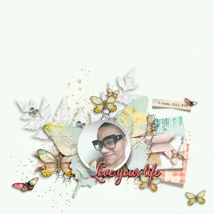 Aug24_SSD_Shadowbox_Butterflies-Love-your-life