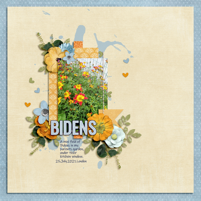 Aug29_SSD_Shadowbox_FlowerGarden-Bidens