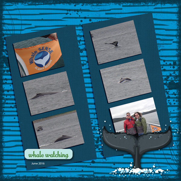 August-20-Shadowbox