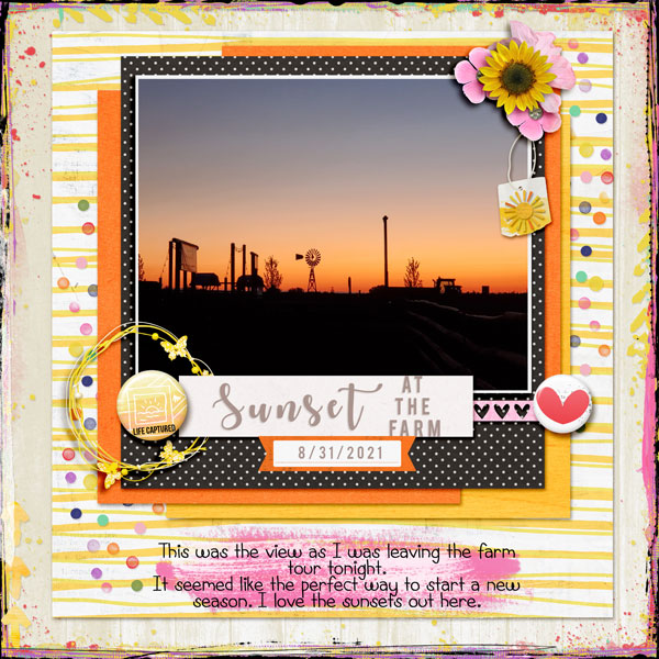 Sunsets-at-the-farm