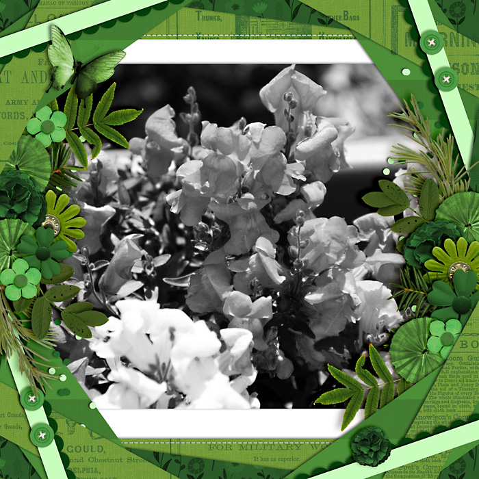green-web-700