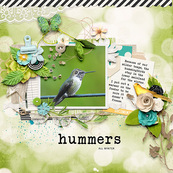 hummersallwinter-700