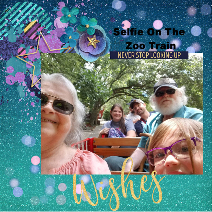 8/31 Selfie on the Zoo Train