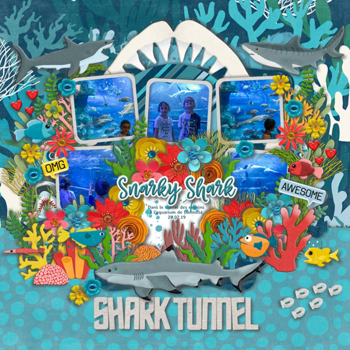 Shark Tunnel