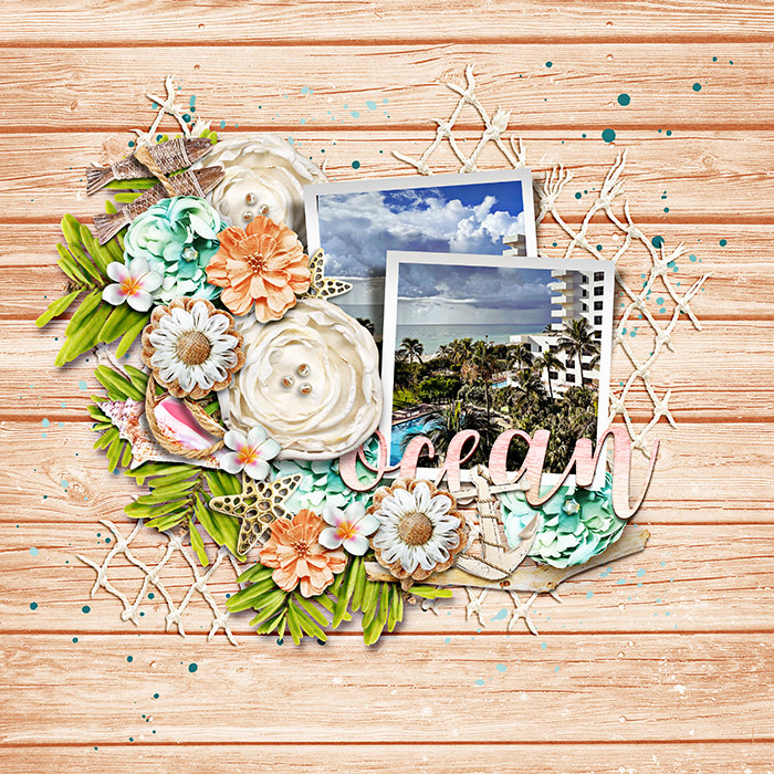 o-marnel-DSI_abeachweddingday