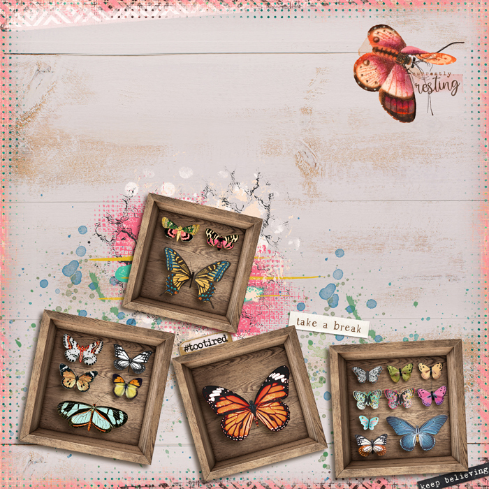 ssd_shadowbox_24-1-