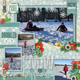 011920_Sledding_700.jpg