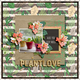 0829-plant-love.jpg