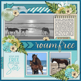 19_06_Wild_and_Free_-_Wild_Horses.png