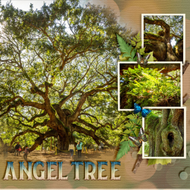 2020_11-Charleston_Angel-Tree.jpg