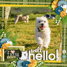 2021-07-Hello-Charlie.jpg