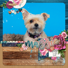 2021-07-Maggie.jpg