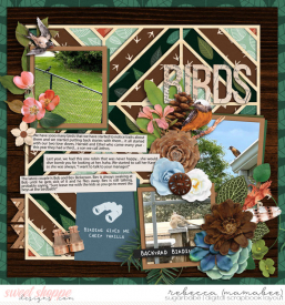 2021_6_20-birds-cschneider-HP230pg1.jpg