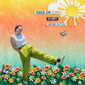 22_High_On_Life.jpg