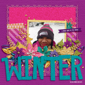 Aug15_SSD_Shadowbox_JewelTones_Winter.jpg