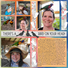 Bird3.jpg